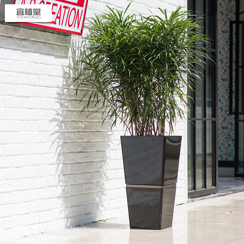 4012 宜植堂自動(dòng)吸水花盆組合自動(dòng)澆水高檔烤漆智能花盆