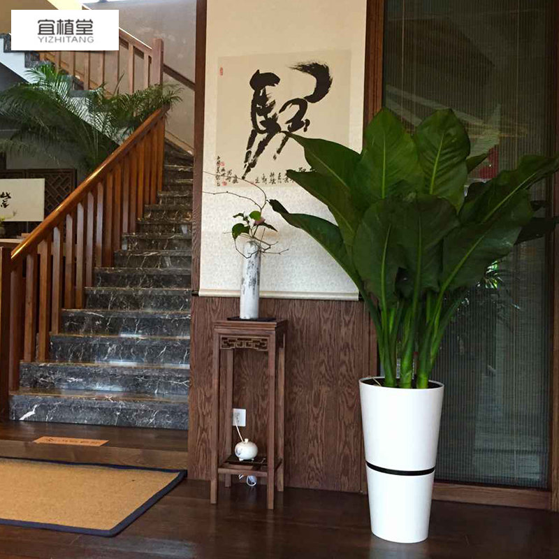 4056 自吸水大號(hào)花盆圓口組合烤漆租擺租賃開(kāi)業(yè)大堂懶人花盆